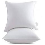 Throw Pillow Inserts (SET OF 2)