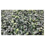 Sunnyglade 12PCS 20x20inch Artificial Boxwood Panels Topiary Hedge Plant, Privacy Hedge Screen Sun Protected for Outdoor Indoor Garden Fence Backyard