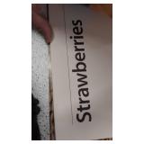 Fruits & Vegetables Posters Real Photo Classroom Decorations for Preschool Bulletin Boards & Circle Time 10 Large Picture Cards, Size 14/Large