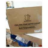 ceiling fan with light