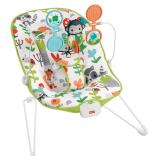 Fisher Price Baby