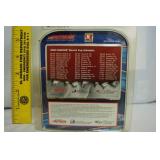 Limited Edition, Adult Collectible "Jeff Gordon #24" Car, In Original Packaging