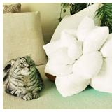 ABOUND LIFESTYLE 3D PILLOWS , PEACH PLUSH SMALL