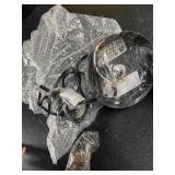 Westinghouse Waltz 1-Light Crystal Mini Pendant