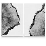 SIGNWIN Canvas Wall Art Black and White Trees Ring Detail Print Nature Wilderness Mixed Media Farmhouse/Country Closeup Relax/Calm Duotone for Living Room - 16" x 24" x 1 Panel