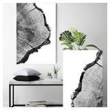 SIGNWIN Canvas Wall Art Black and White Trees Ring Detail Print Nature Wilderness Mixed Media Farmhouse/Country Closeup Relax/Calm Duotone for Living Room - 16" x 24" x 1 Panel