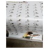 STOTT PILATES Wall Chart