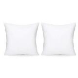 Acanva Set Of 2 Pillows