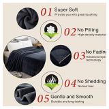 Fleece Blankets Queen Size for All Season 350GSM - Premium Lightweight Anti-Static Throw for Bed Extra Soft Brush Fabric Warm Sofa Thermal Blanket 90" x 90"(Dark Gray Queen)