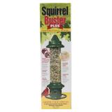Squirrel Buster Plus