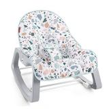 Fisher-Price Infant-to-Toddler Rocker - Pacific Pebble, Portable Baby Seat, Multi