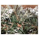 National Tree Company Artificial Christmas Garland, Green, Glittery Pine, Decorated With Pine Cones, Frosted Branches, Christmas Collection, 6 Feet