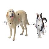 Ideal Pet Products Replacement Flap for Ruff-Weather Pet Door, Super Large, 15" x 23.5" Flap Size