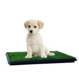 Artificial Grass Puppy Pad for Dogs and Small Pets â Portable Training Pad with Tray â Dog Housebreaking Supplies by PETMAKER