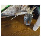 Magna 12" Gravel Blaster Boys