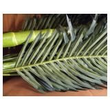 Nearly Natural 5289 6.5ft. Golden Cane Palm Silk Tree,Green