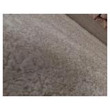 nuLOOM Neva Plush Shag Area Rug, 4