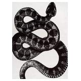 nuLOOM Thomas Paul Serpent Area Rug, 5