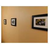 3 Framed Photos
