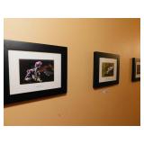3 Framed Photos