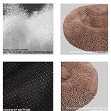 Calming Dog Bed Cat Bed