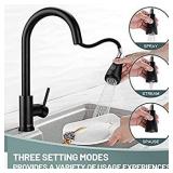 Black Kitchen Faucet with Pull Down Sprayer