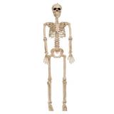 Seasons Poseable Skeleton Halloween Decoration Bone 36 in. H x 4 in. W x 9-1/2 in. L