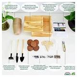 Hand-Mart 4 Pepper Seeds with Planter Box Starter Kit Indoors, Red/Green Spicy Yellow Round Green Pepper, Including Soil, Pots, 3 Garden-Tool, Pruner, Sprayer, Plant Labels, DIY Craft for Kids Adults