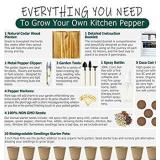 Hand-Mart 4 Pepper Seeds with Planter Box Starter Kit Indoors, Red/Green Spicy Yellow Round Green Pepper, Including Soil, Pots, 3 Garden-Tool, Pruner, Sprayer, Plant Labels, DIY Craft for Kids Adults