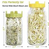 Easy Rinse & Drain Plastic Sprouting Lids for Wide Mouth Mason Jars â 6 Pack
