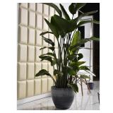 Higold 10.6 Inch Plastic Plant Pot (2 Pk) Grey - Retail: $61.99