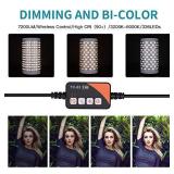 FOSITAN FL2850 Bi-Color LED Video Light Portable Rollable Flexible LED Light Panel Mat on Fabric 3200K-6000K 7200LM with Stand, Remote for Traveling Filmmakers Videographers Photography Shooting