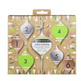 EcoTools 6 Days of Blending Ultimate Blender Kit, Multicolor