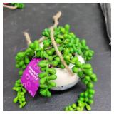 Hanging Faux Greenery