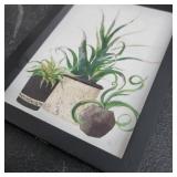 Plants Decor