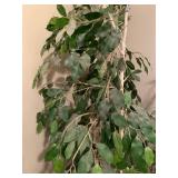 Artificial 8 foot ficus tree