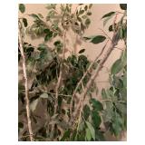 Artificial 8 foot ficus tree