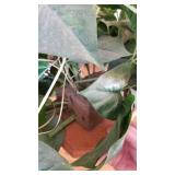 Faux greenery approx 4 ft x 1 ft