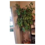 Faux ficus plant approx 84"