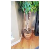Faux ficus plant approx 84"
