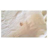 Quilt hand stitched (good condition, stain on back doesnt show thru) approx 7 ft x 7 ft