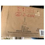 In Box Z-Lite Modern Styled Hanging Ceiling Light