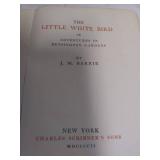 1902 1st Edition Presumed The Little White Bird or Adventures in Kensington Gardens by J.M. Barrie, Condition Good