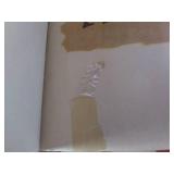 1936 1st Edition Presumed Sambo And The Twins by Helen Bannerman (condition Fair, see pics), 1927 1st Edition Presumed The Misfortunes Of Elphin and Rhododaphne by Thomas Love Peacock (condition fair,