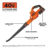 BLACK+DECKER 40V MAX* Cordless Sweeper (LSW40C)