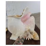 Lot if 4 Large Horn Seashells