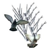 Box of Bird Repellent 12 In Plastic Spikes Kit