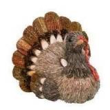 Transpac Foam 14 inch brown harvest plume