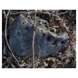 Bricks and Decorative Rock