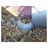 Multiple Pet Carriers and Dog House